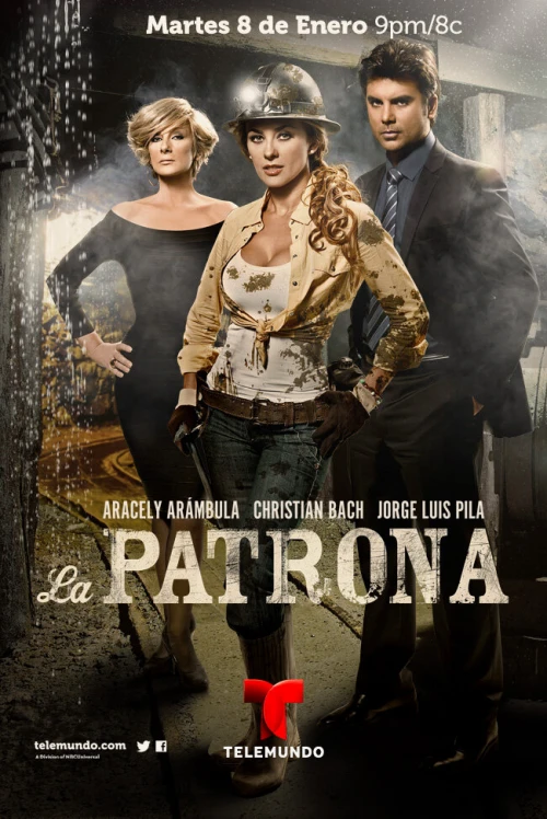 Госпожа (2013) онлайн бесплатно